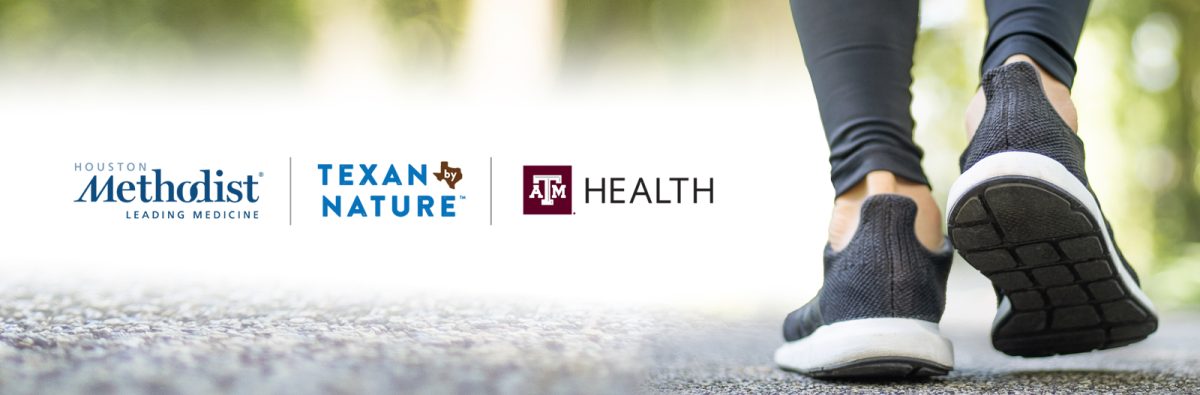 My Wellness Walks